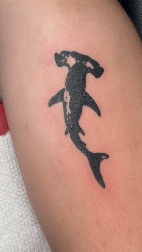 book Los Angeles, CA, September 15th - 22nd right now with link in bio (custom or flash)

Hi I'm Mia! I'm a 24 year old queer...