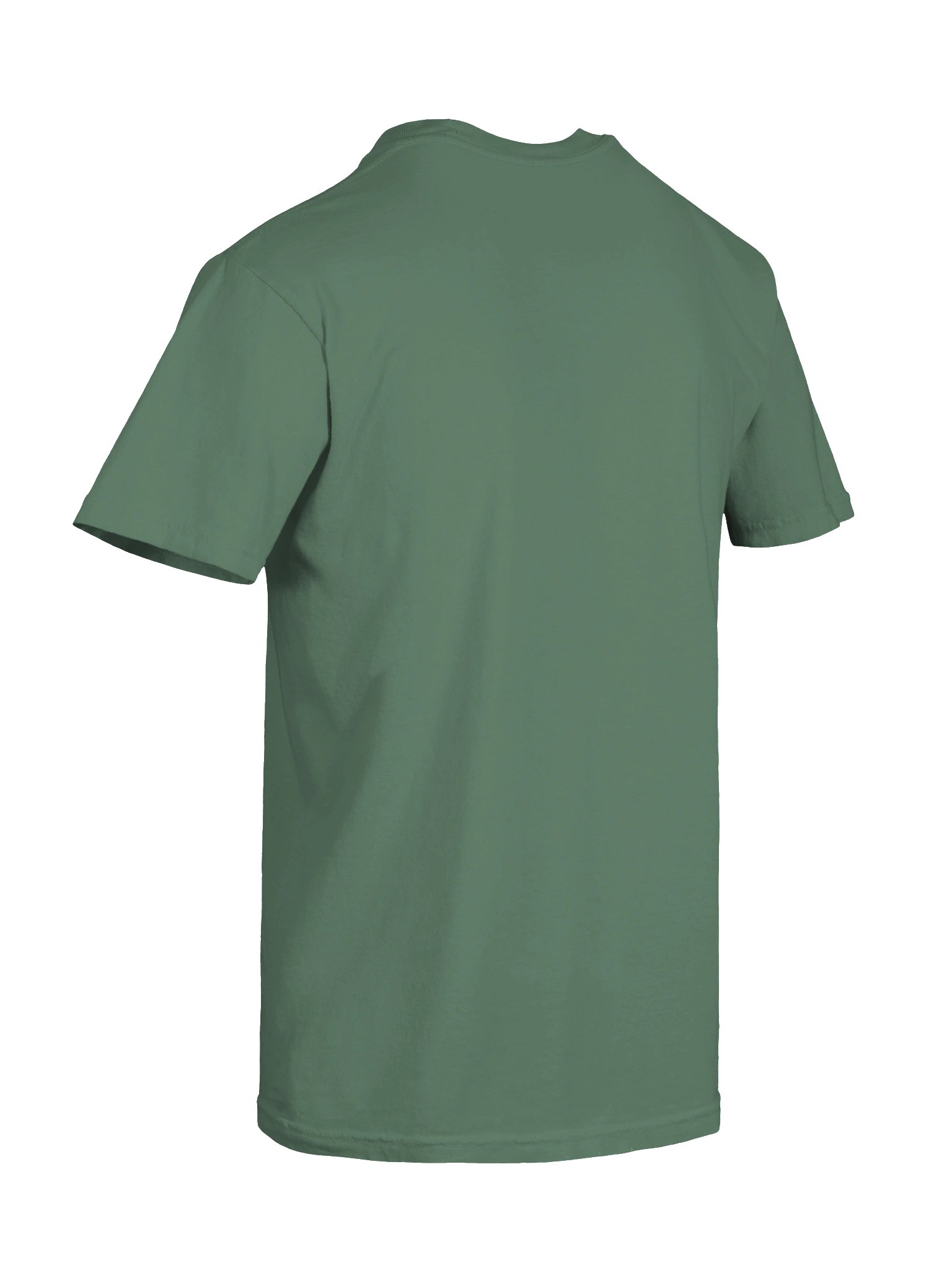 Verdant Meridian Tee product image (16)