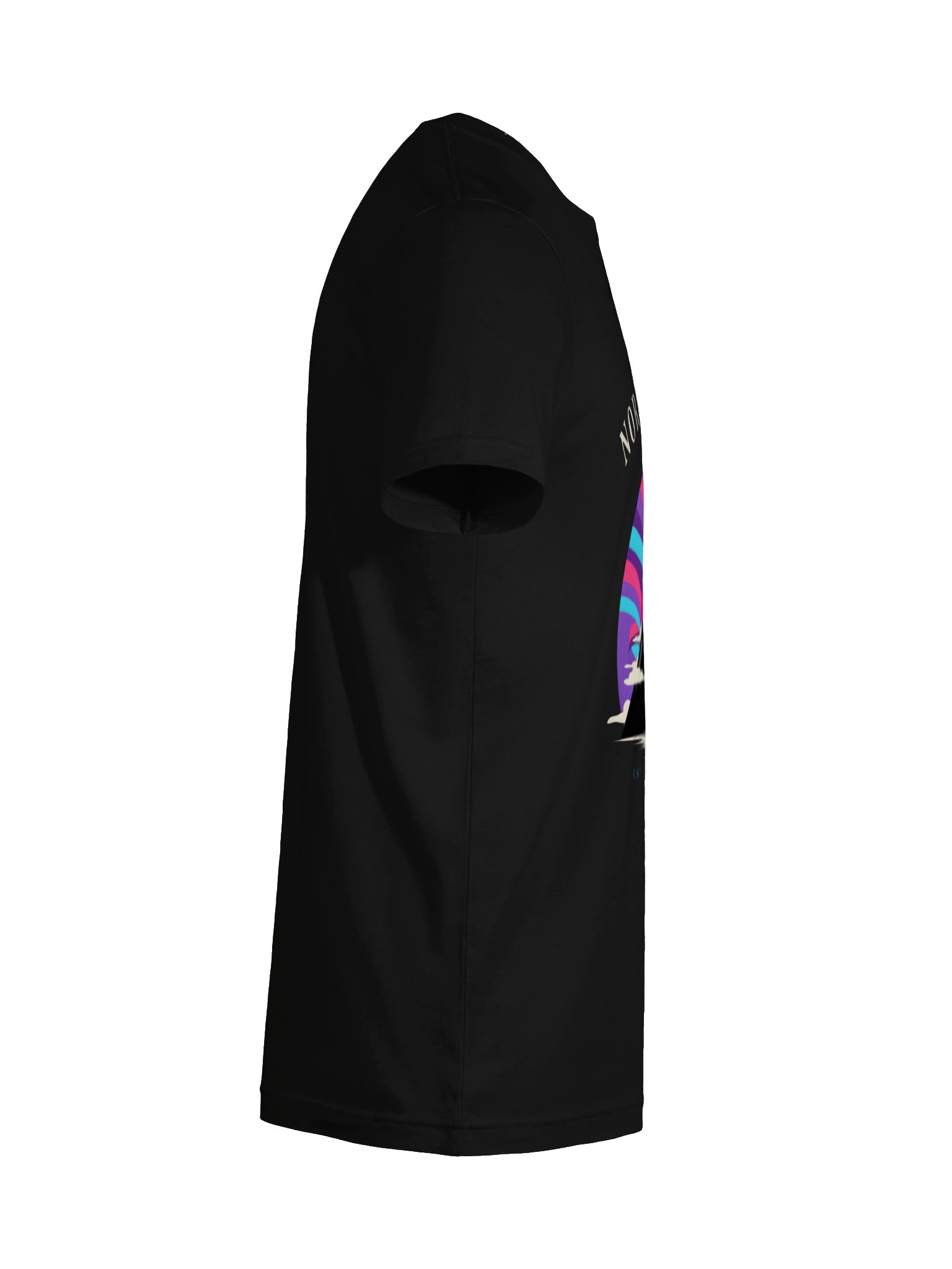 Midnight Veil Northwind T-Shirt product image (101)