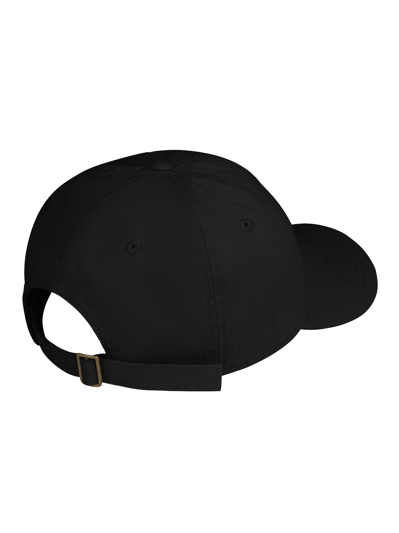 Capably Human Logo - Organic Dad Hat product image (8)