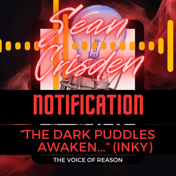 Audio Notification - 