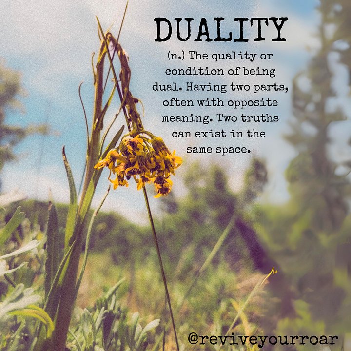 Duality. product image (2)