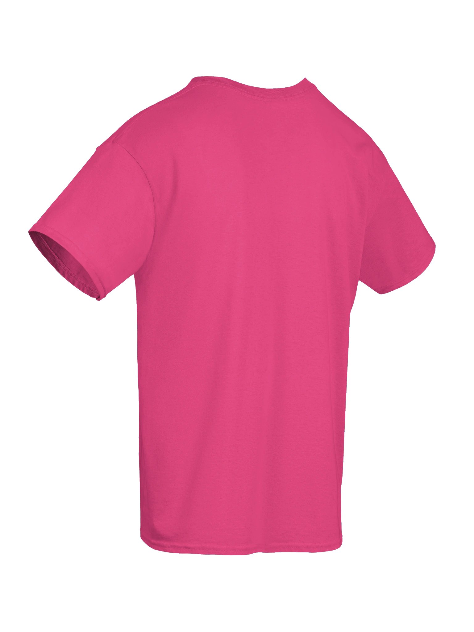 AppalShirt (Pink) product image (10)