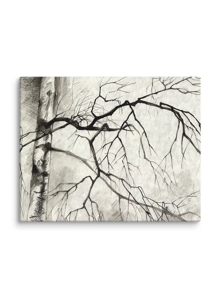 Zen Tree Canvas Art - Birches product image (2)