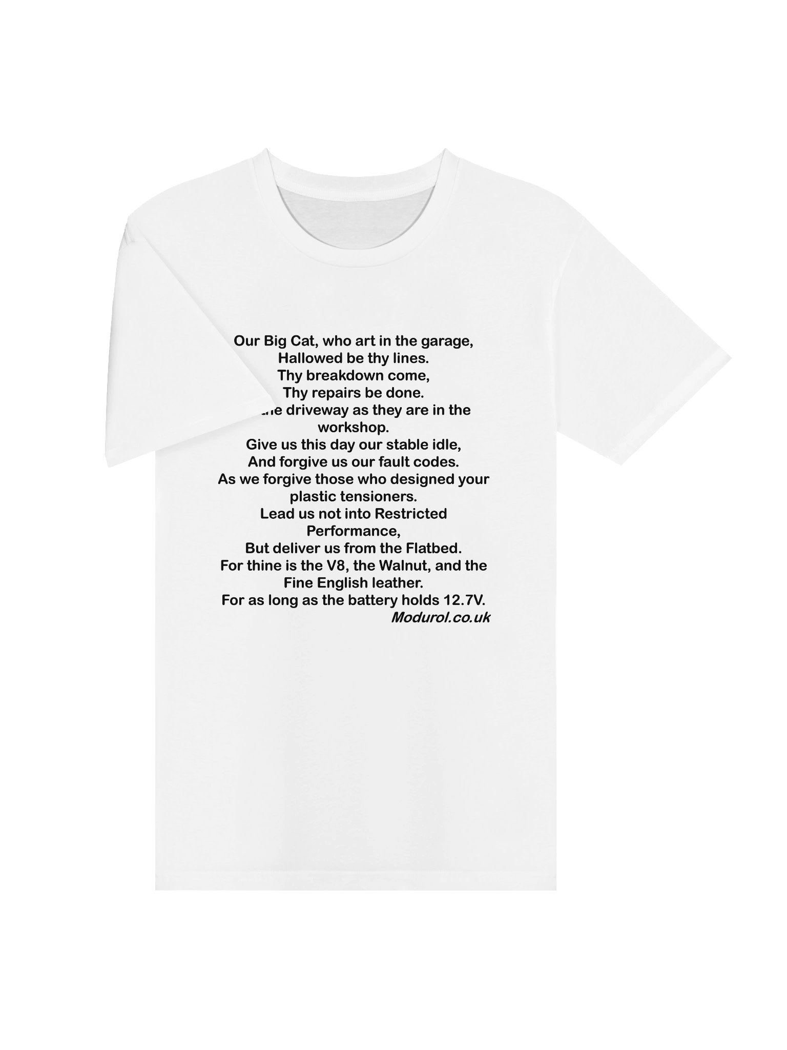 Modurol Premiere Contributor - Big Cat Prayer T Shirt product image (3)