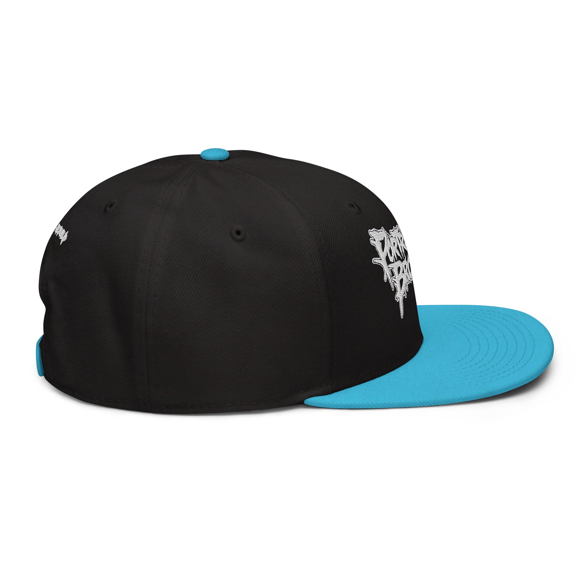 Portray the Broken Snapback Hat product image (68)