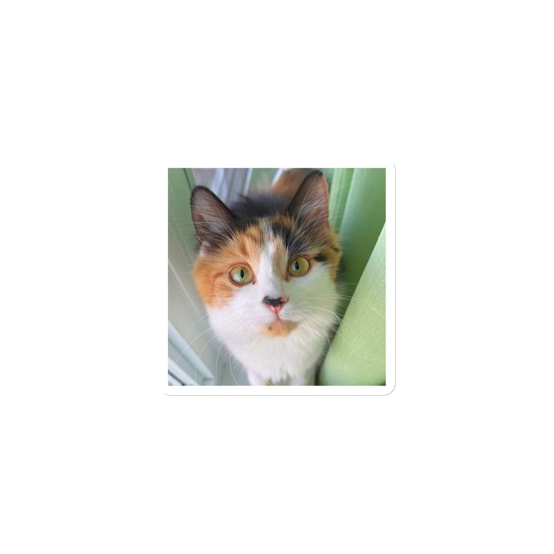 Stinking Cute Magnet | Aimant product image (1)