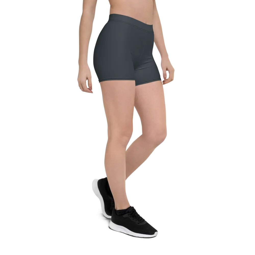 Slate Surf Shorts product image (6)
