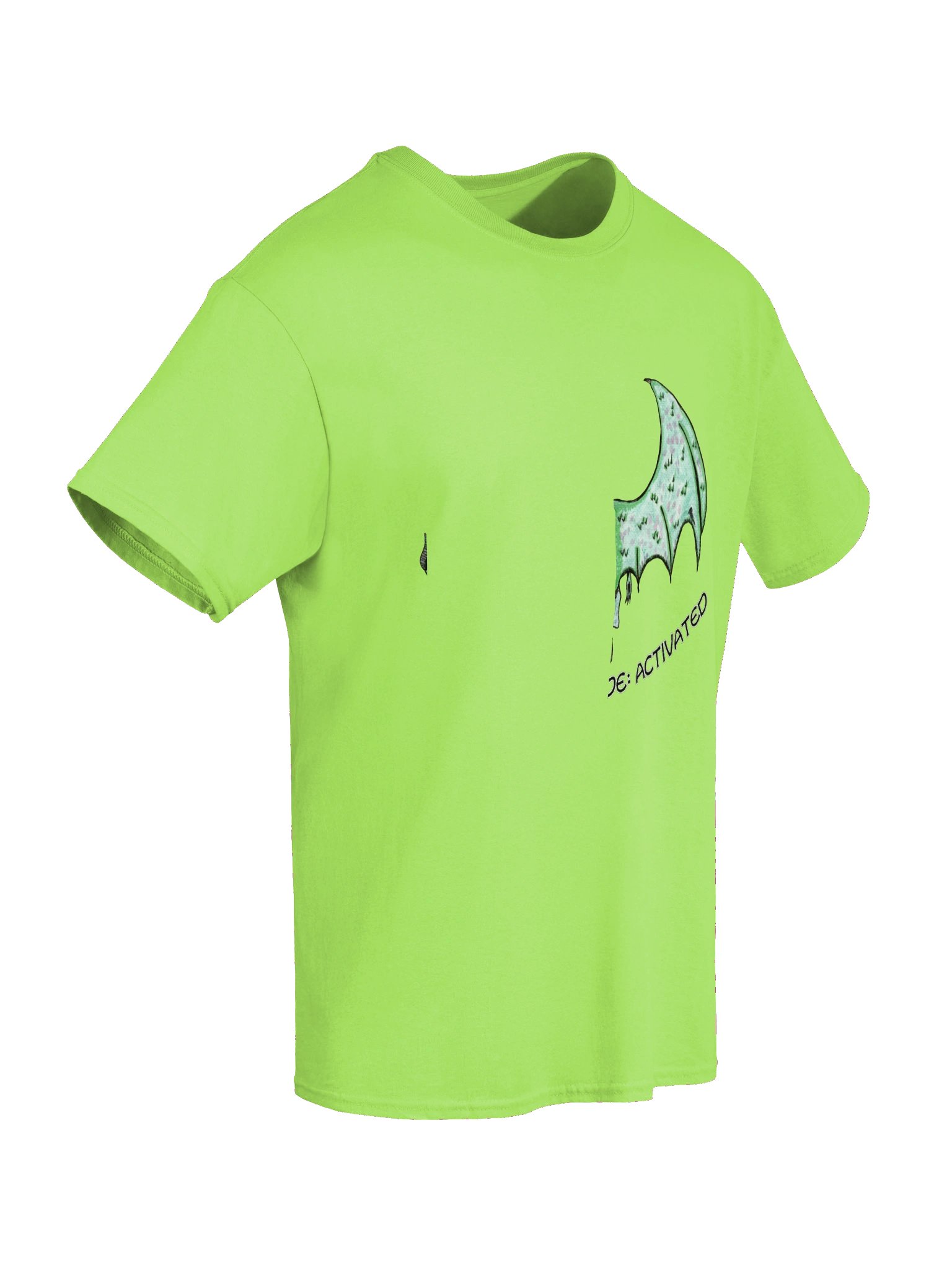 Dragon Watercolour Heavyweight T-Shirt product image (25)
