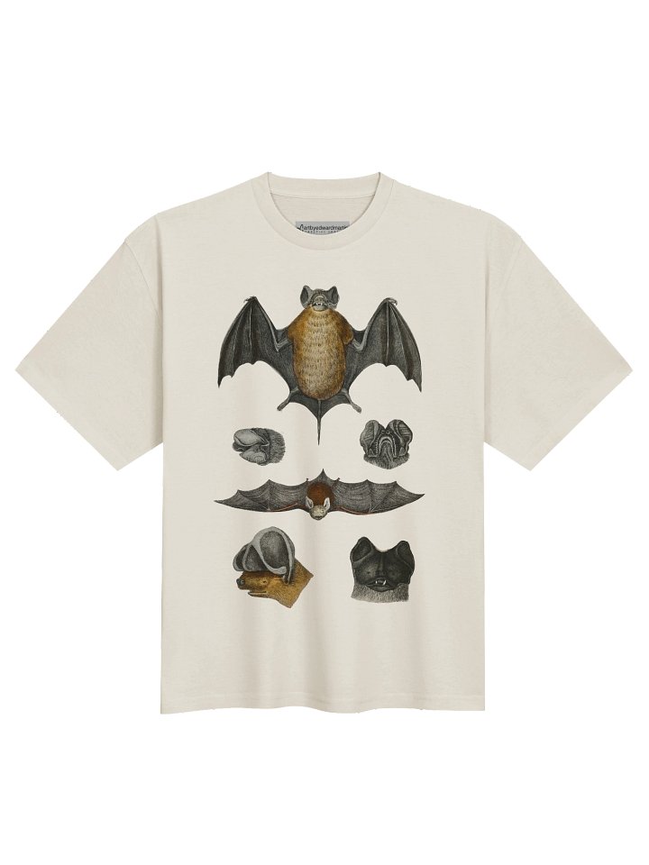 Bat Anatomy Oversized Tee product image (2)