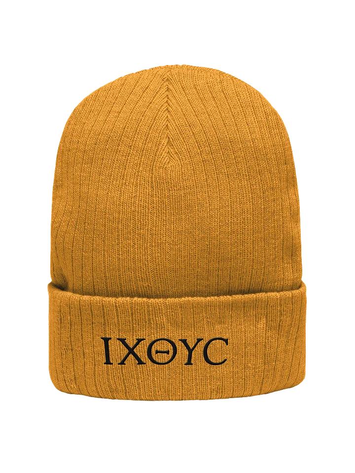 Ichtys Beanie product image (1)