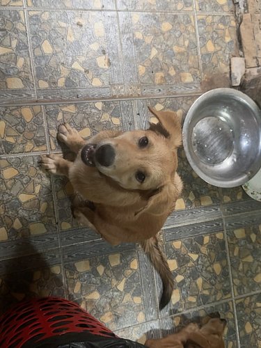 Taas se aika vuodesta, kun porsas juoksee kotiin. Käydään kylmässä pohjolassa hoitamassa hommia, näkemässä porukoita ja muita...