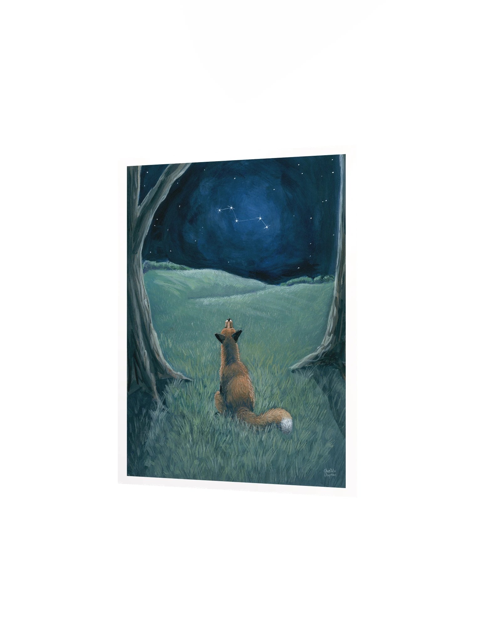 Vulpecula - Art Print product image (3)