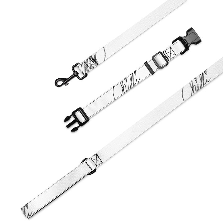 Shadow Walker – Halsband- & Leinen-Set product image (1)
