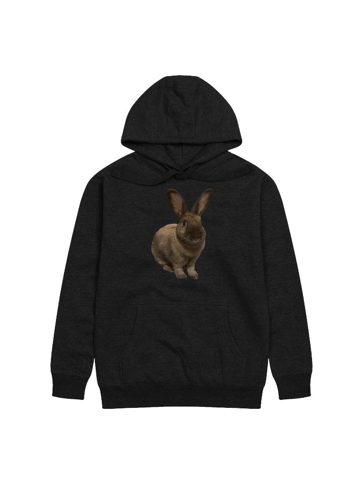 Caramel Hoodie product image (3)
