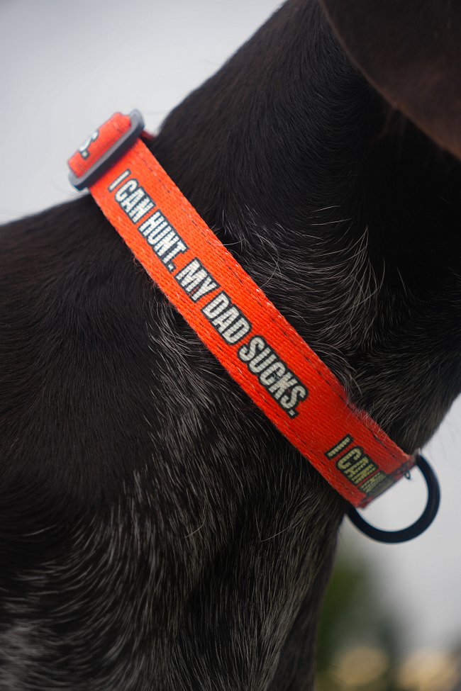Upland Hunting Dog Collars