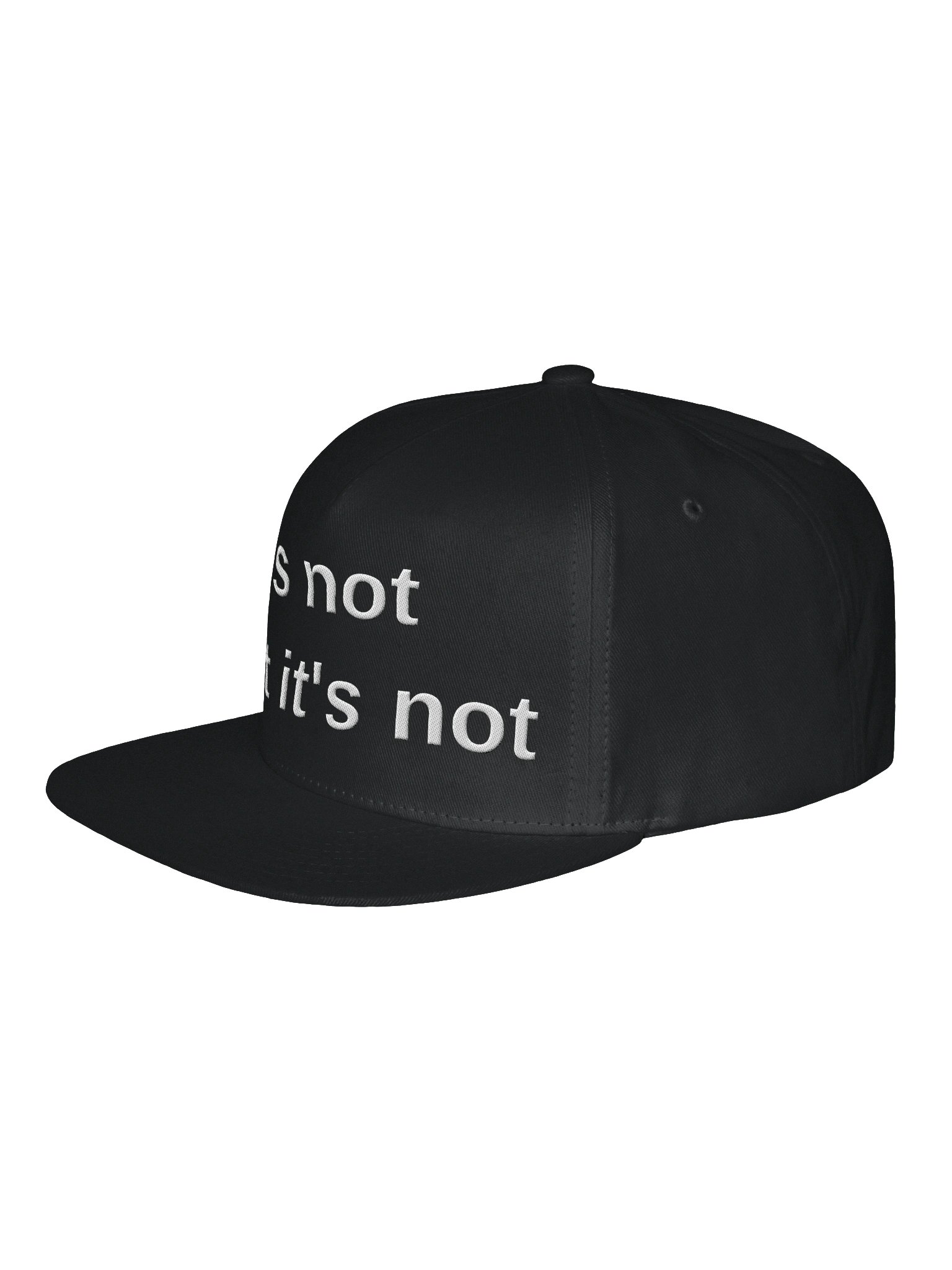 The Flat Bill — it's not what it's not product image (2)