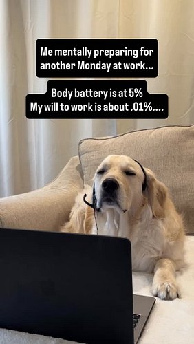 Rigatoni clocking in for another Monday. Body battery at 5%. Will to work at .01%. Headset secured. Camera on. Nothing behind...