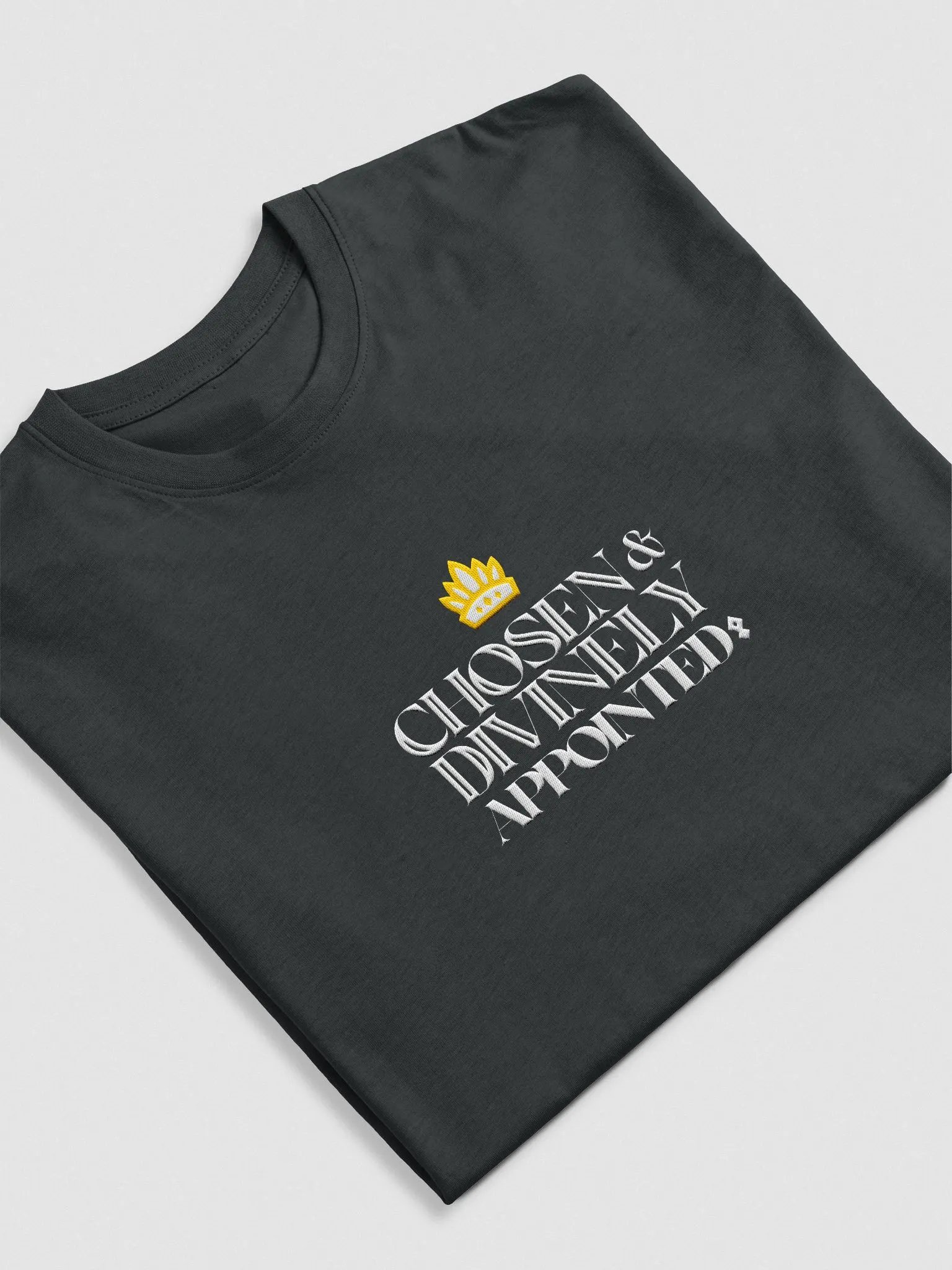 Chosen and Divinely Appointed product image (17)