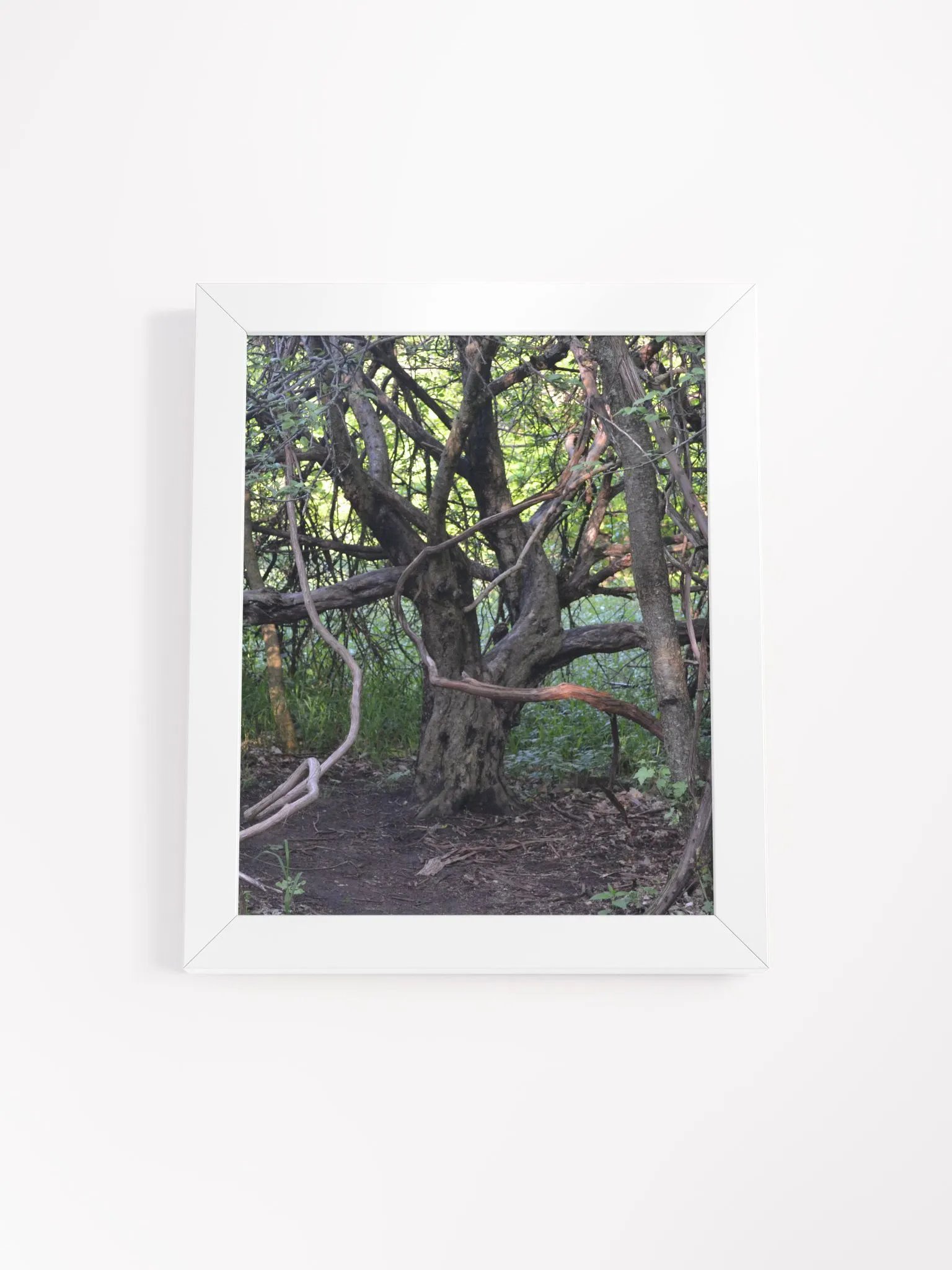 Tree of Branches High Quality Poster product image (1)