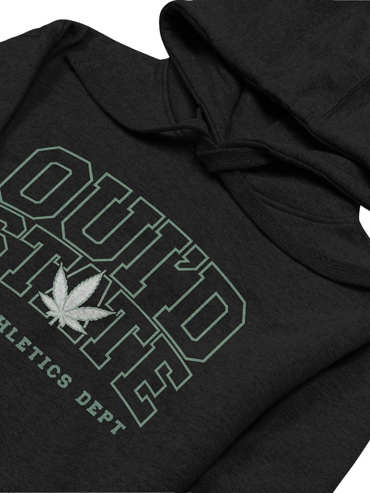 “OUI’D STATE” Hoodie 🌿💨 | Higher Education Since 4:20 | Cotton Heritage Unisex Premium Hoodie product image (2)