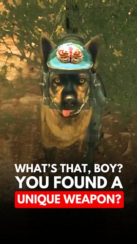 Did you get the Lassie reference in Fallout: New Vegas? #oxhorn #fallout #falloutnewvegas