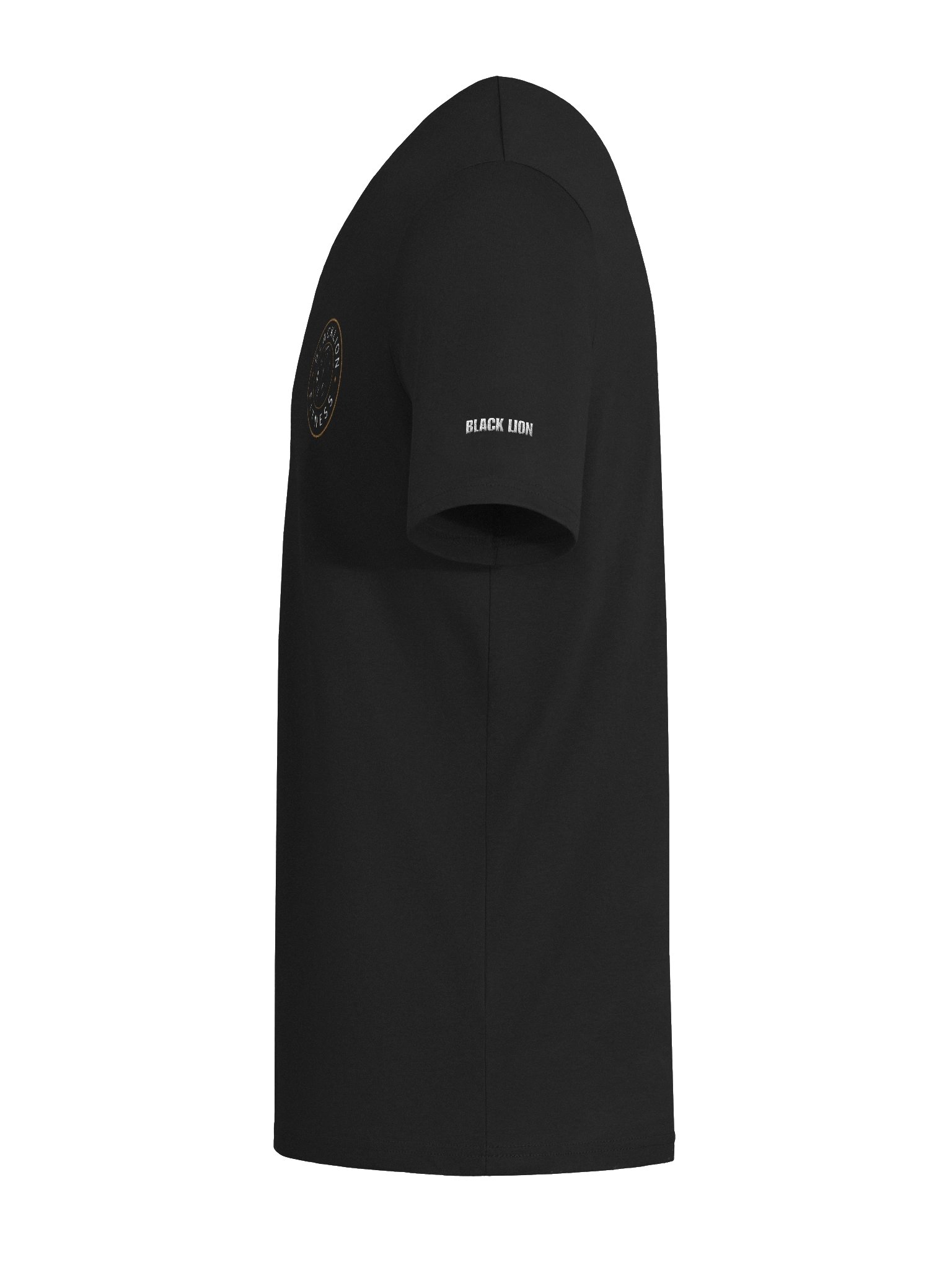 BLACK LION FITNESS MINIMAL TEE product image (42)