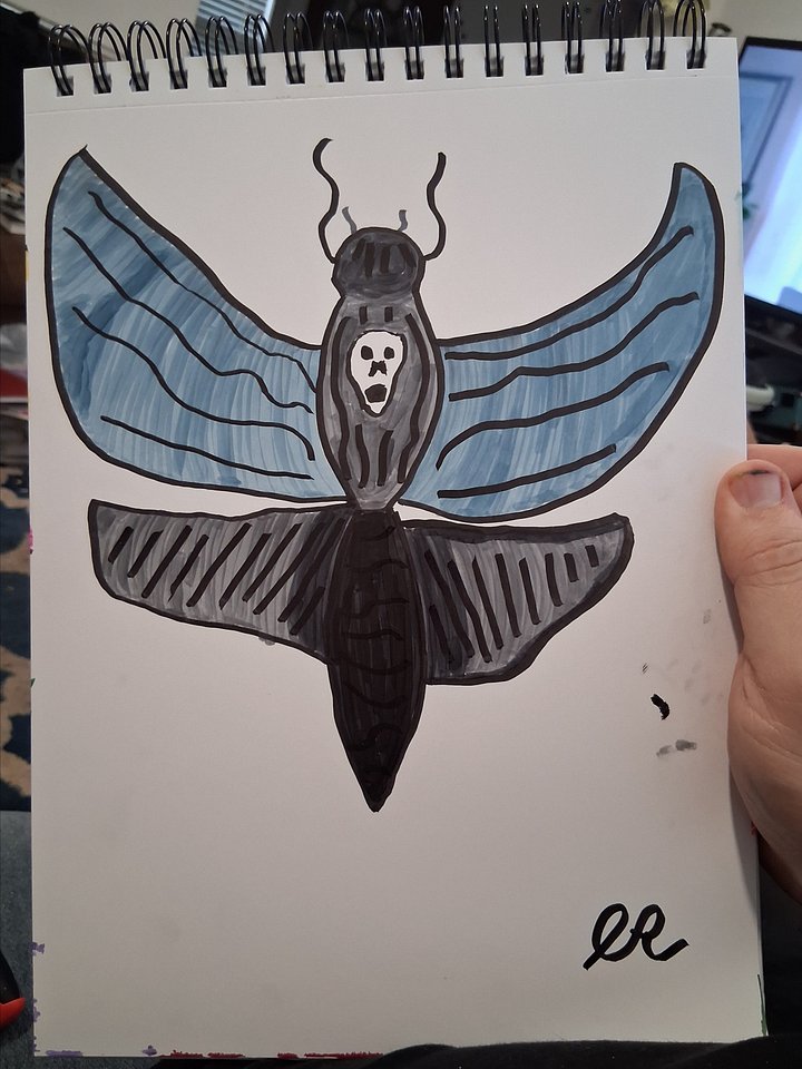 Death's Head Moth Original Drawing product image (1)