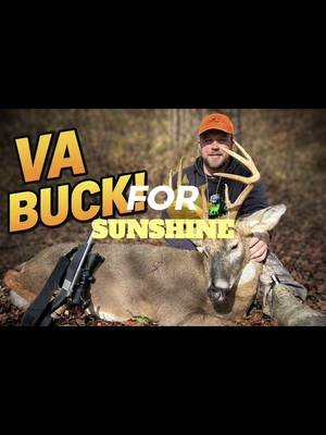 Just a few deer from the team and some friends #hunting #fyp #viral #friends #godisgood 