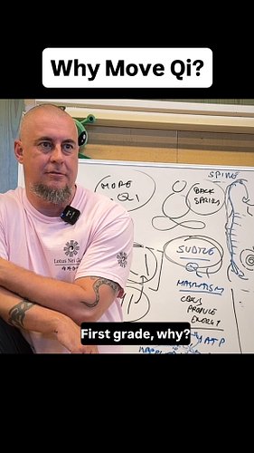 Note that in this video clip, I am not asking why the innate Qi within the body should naturally circulate; I am asking why w...