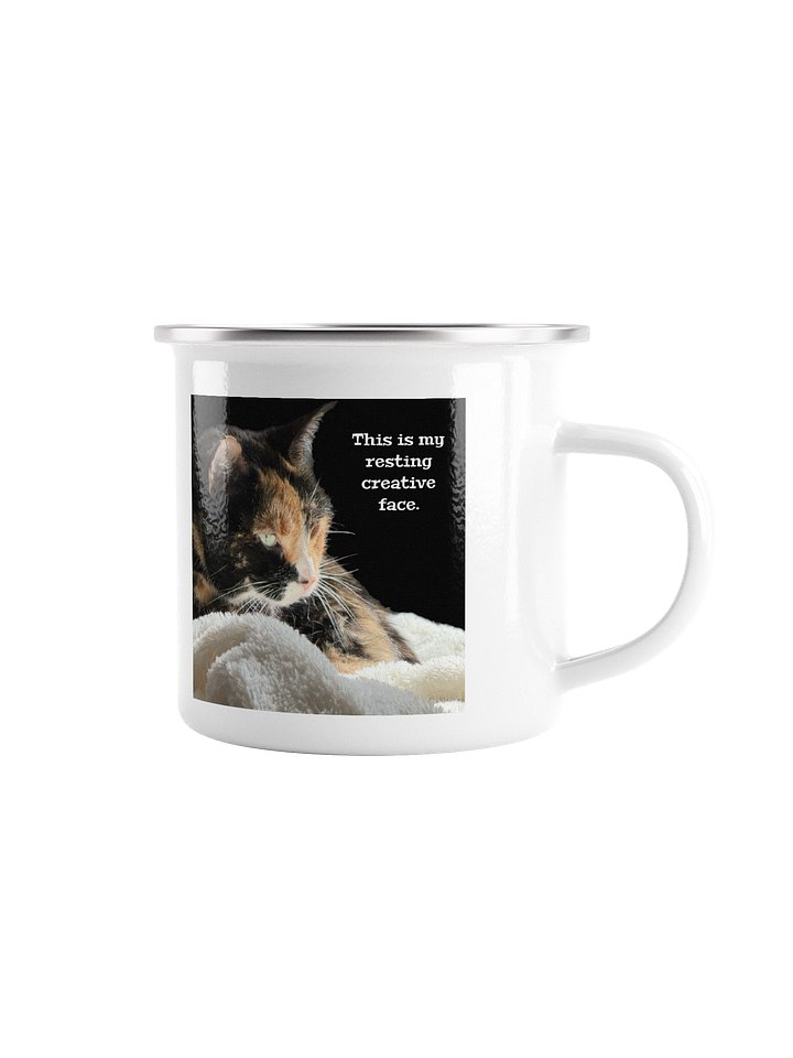 This is my resting creative face. silver rim mug product image (1)