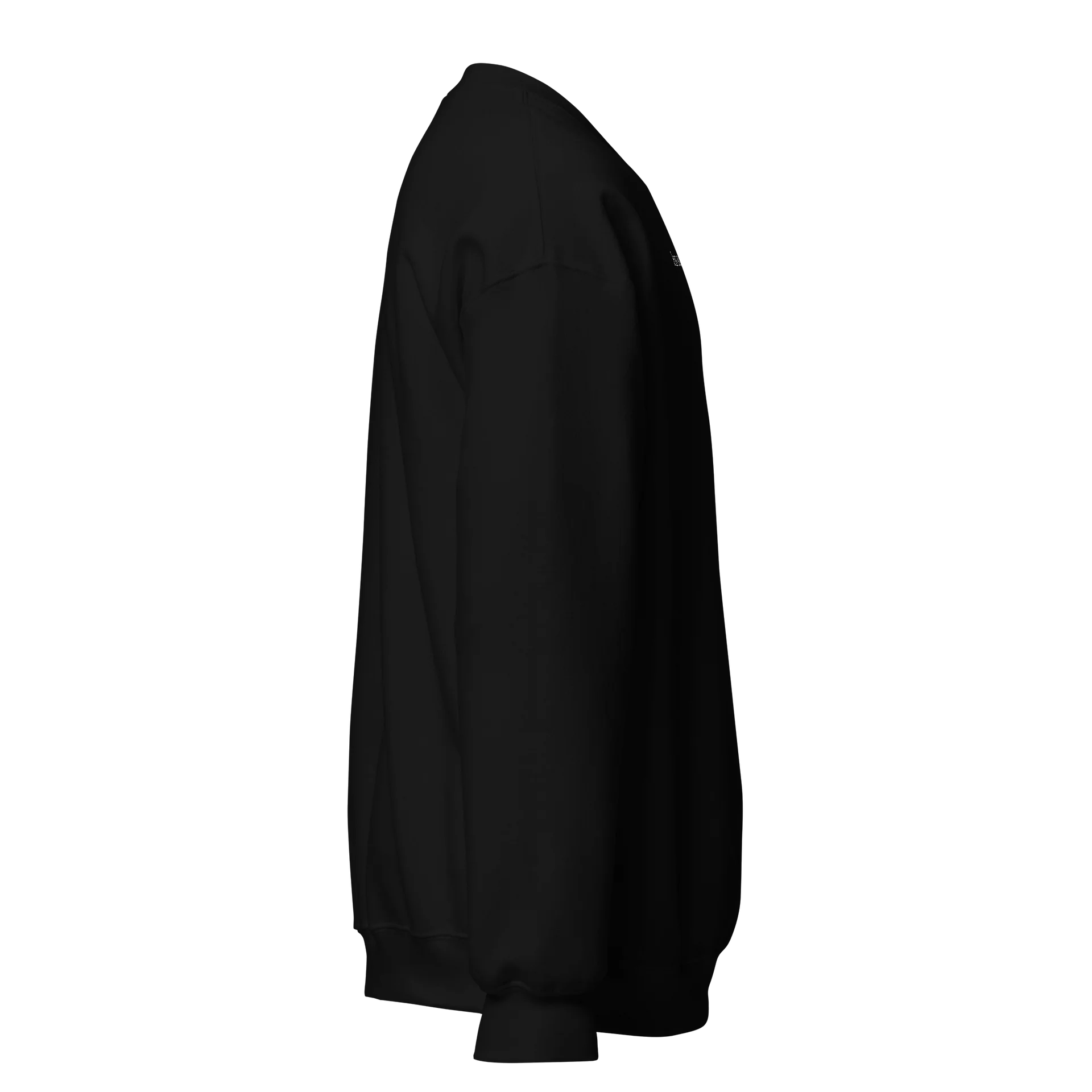 Less Someday Crewneck product image (35)