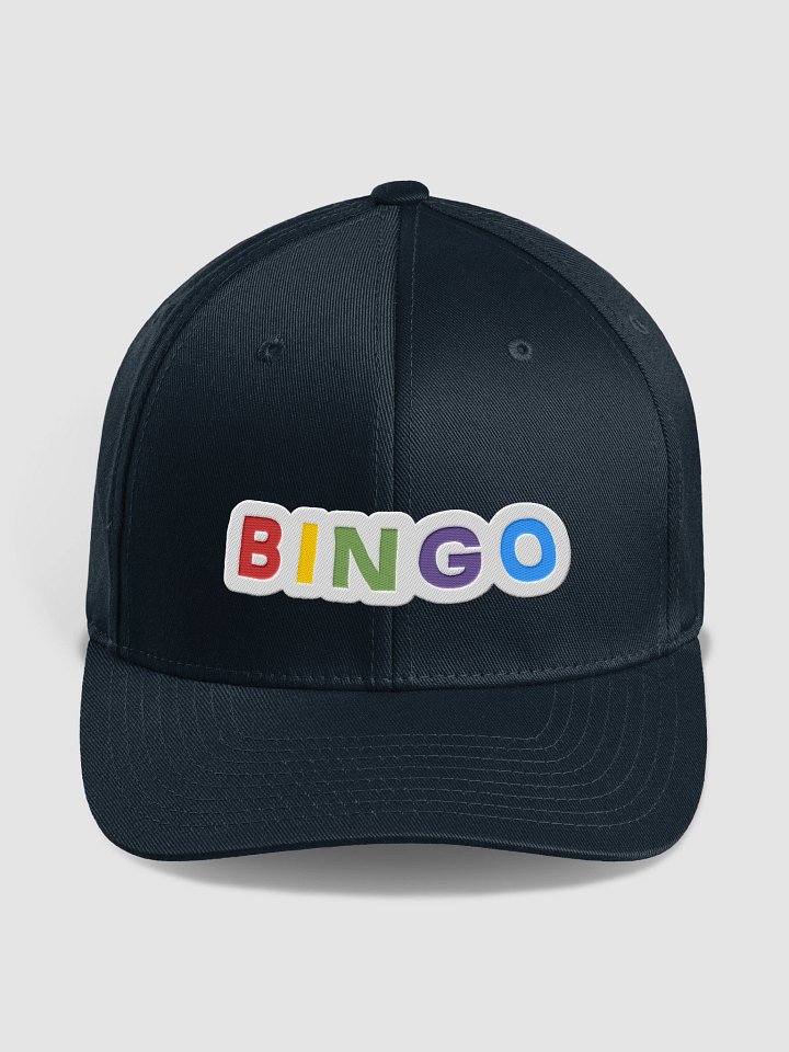 Alt Embroidered Bingo Letters Fitted Hat product image (1)