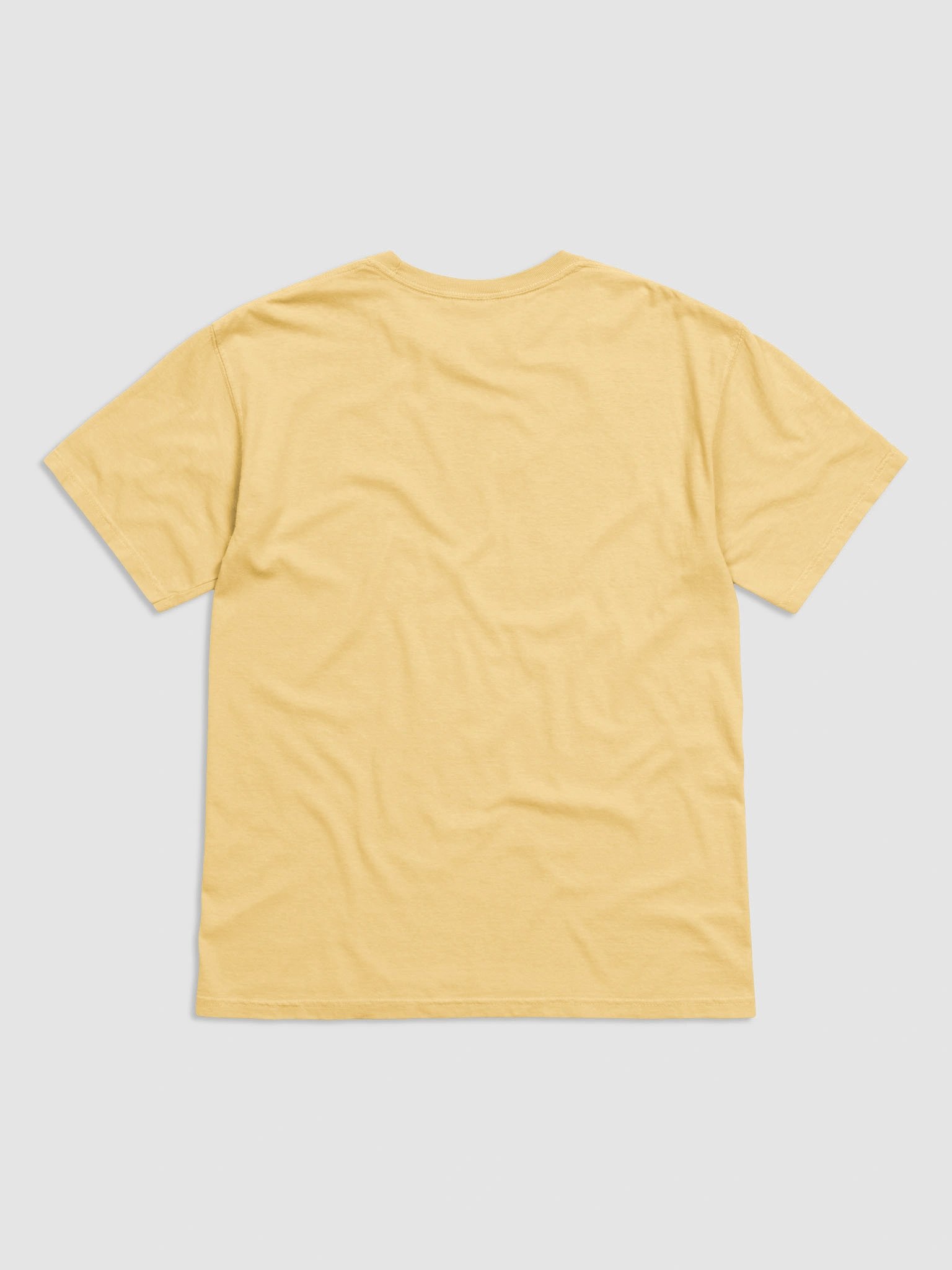 Bunny Teaching Where Patience Meets Chaos, Teachers Comfort Colors T-shirt product image (7)