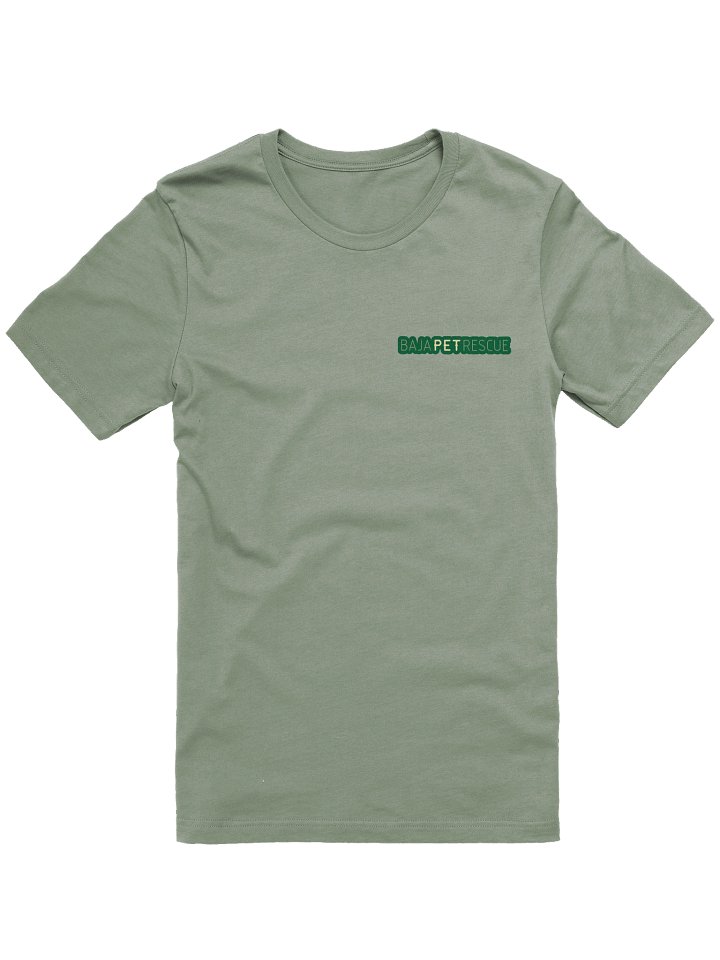 Super Soft Sage Green Tee product image (1)