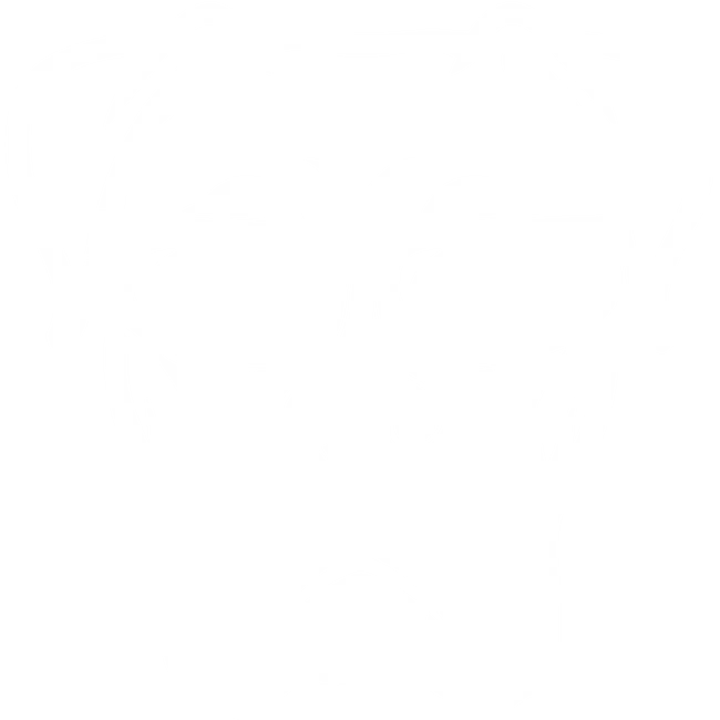 CrazyDog