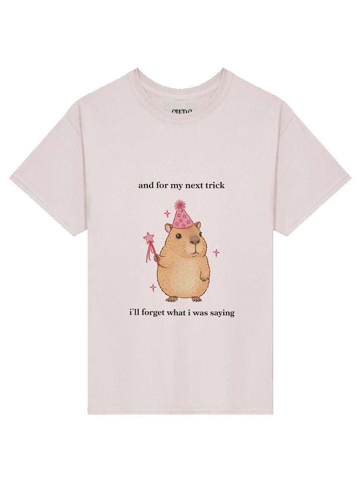 Magic Cabybara product image (1)