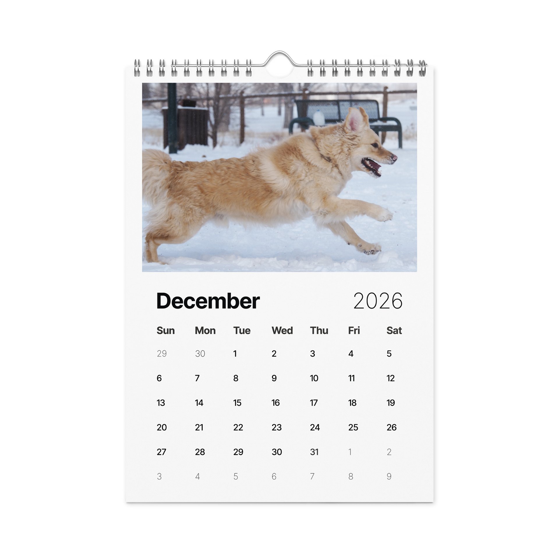 Milo's Life 2026 Wall Calendar product image (8)
