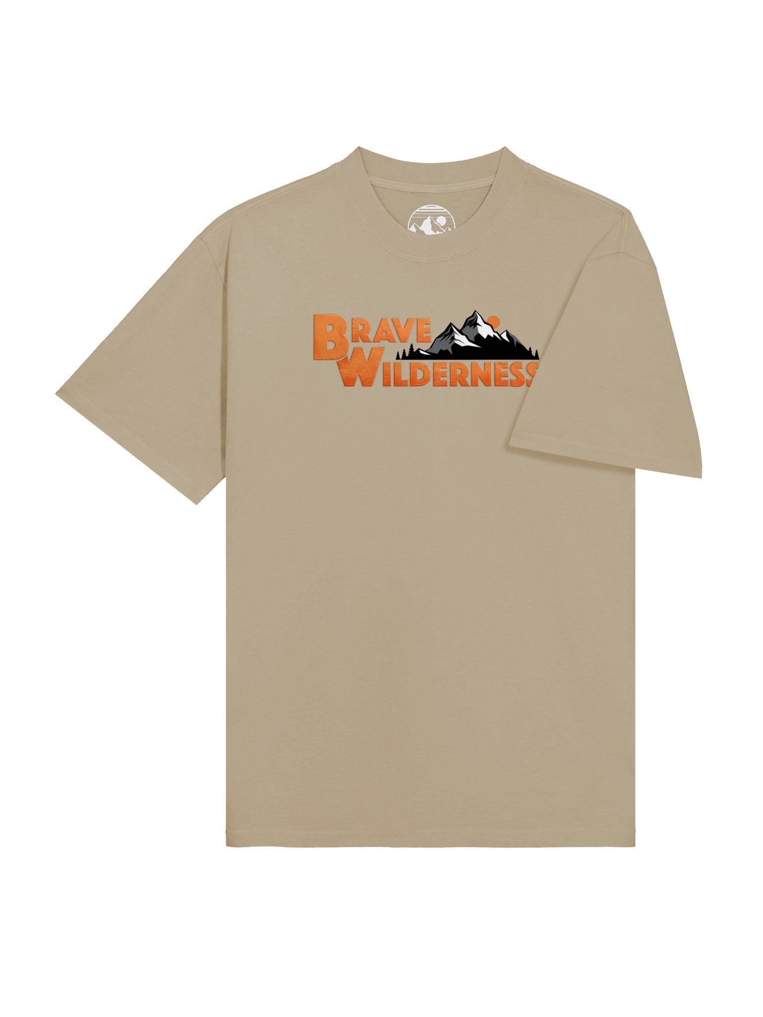 BW Classic Oversized T-Shirt product image (5)