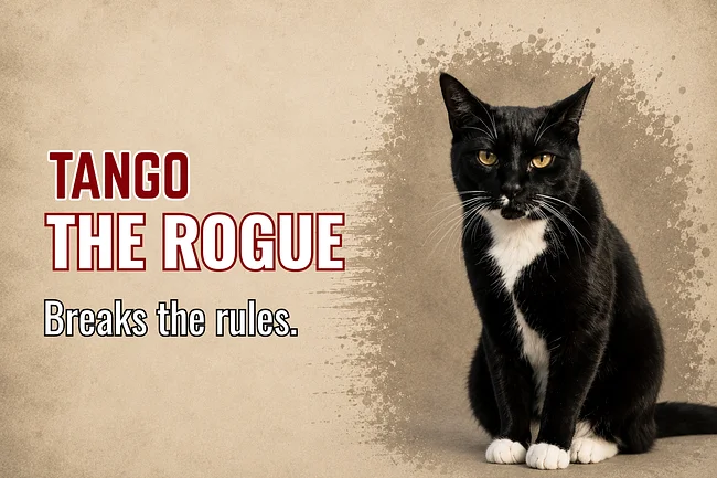 Tango: The Rogue Collection