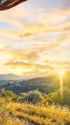 ✨ Welcoming the Sun - Litha✨

Originally posted on UCA
Written by Delia & Vi

Link in bio