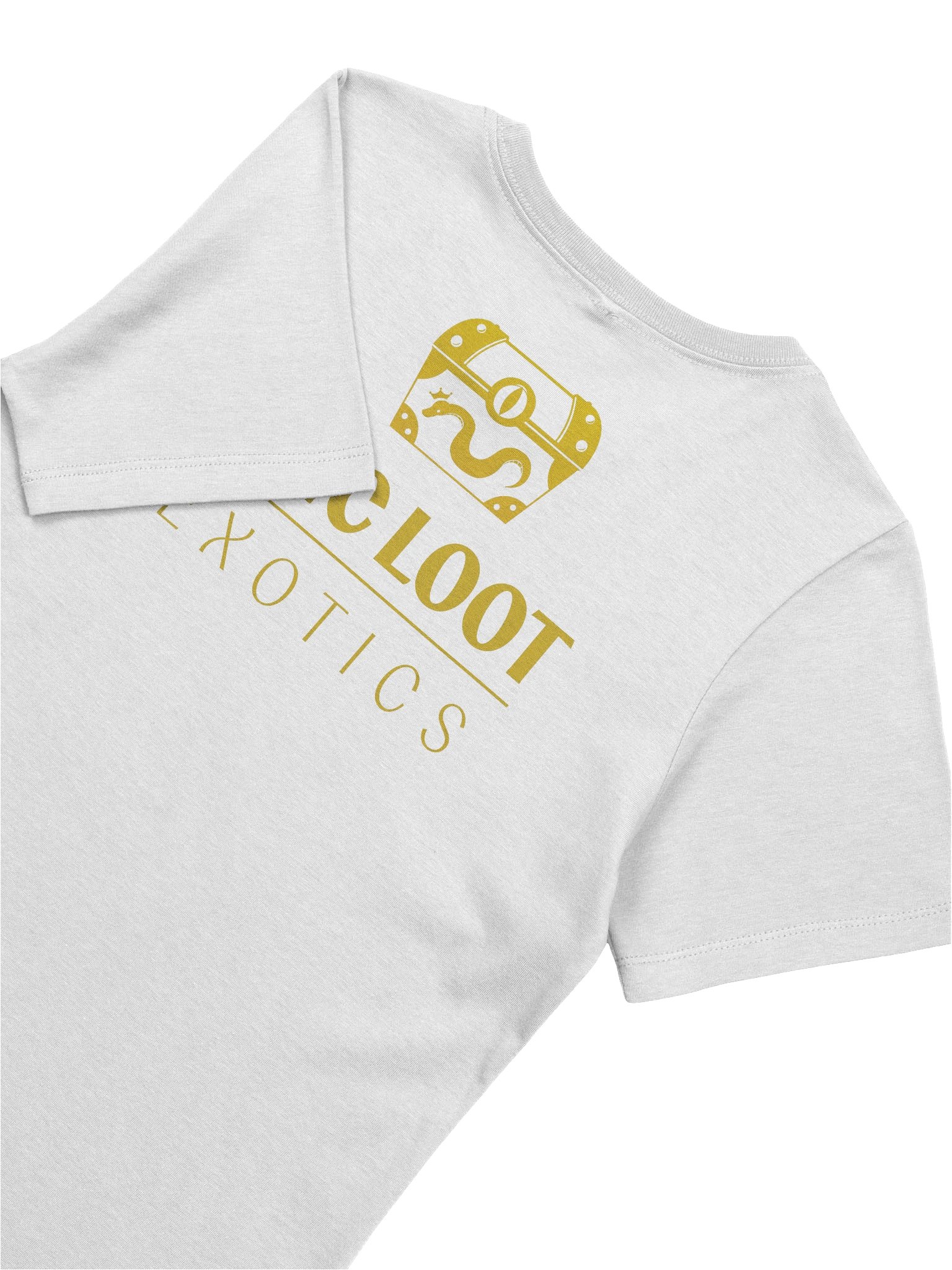 Geckomancer! Women's Fit Tee product image (12)