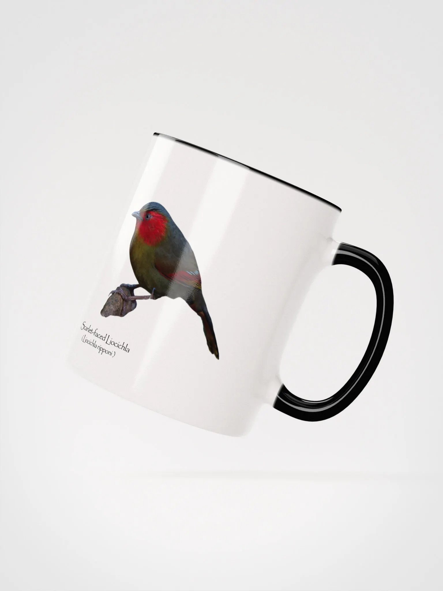 Scarlet-faced Liocichla mug product image (16)