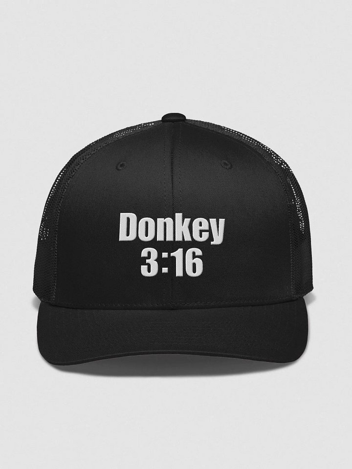 Donkey 3:16 Trucker Hat product image (1)