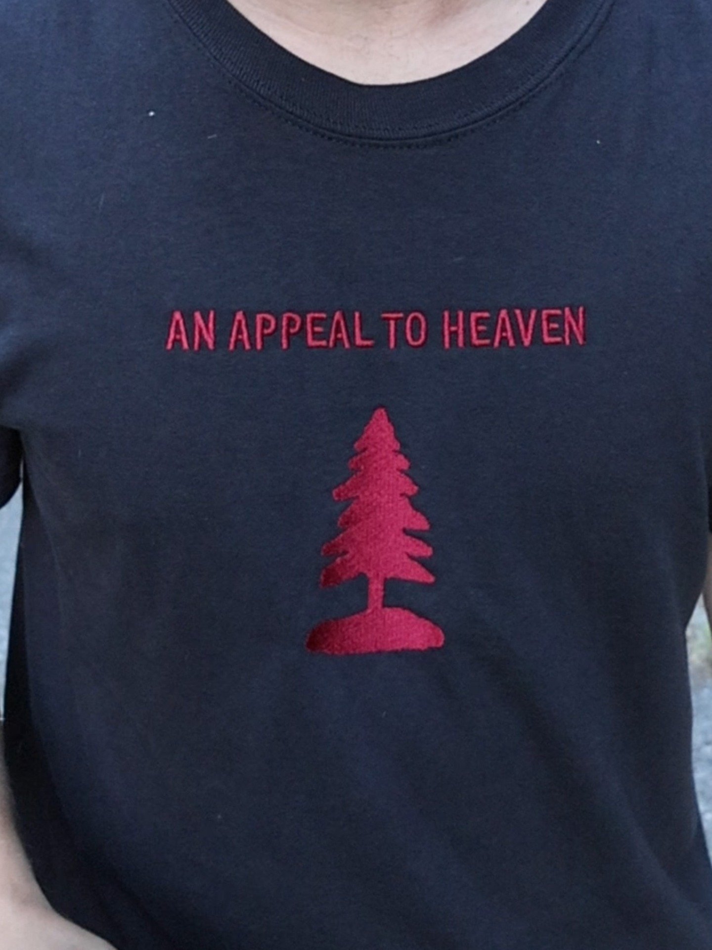 AN APPEAL TO HEAVEN - EMBROIDERY SHIRT product image (9)