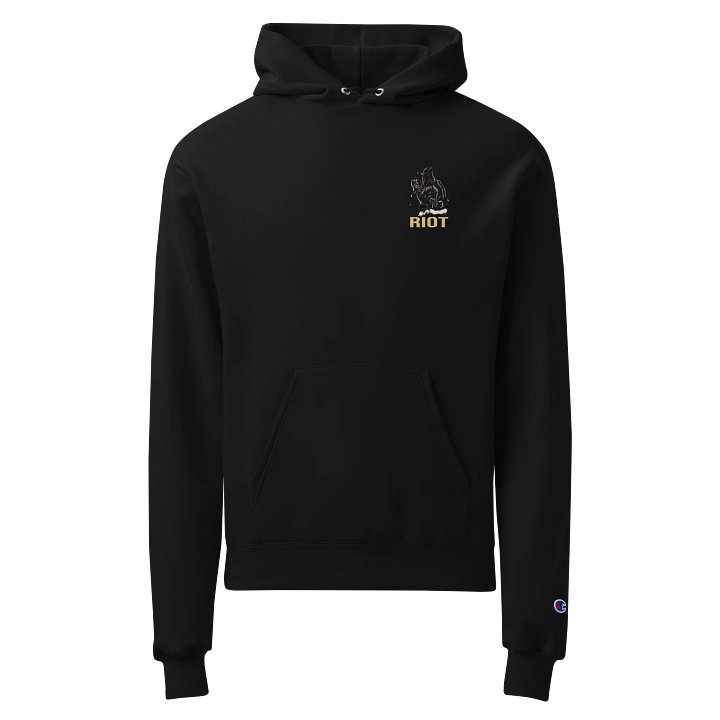 Disrespect Your Surroundings - Champion Hoodie product image (2)
