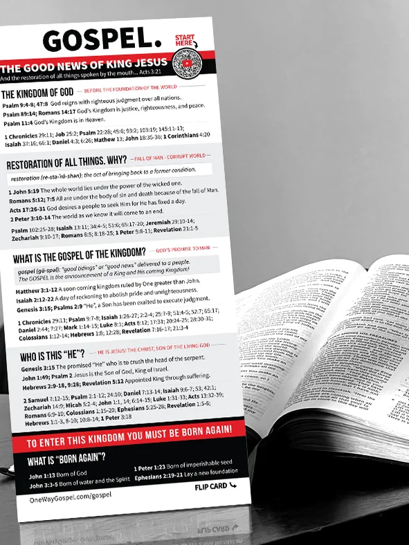 GOSPEL Card (Sets of 10) - 10-Lesson Overview of the Good News of King Jesus product image (2)