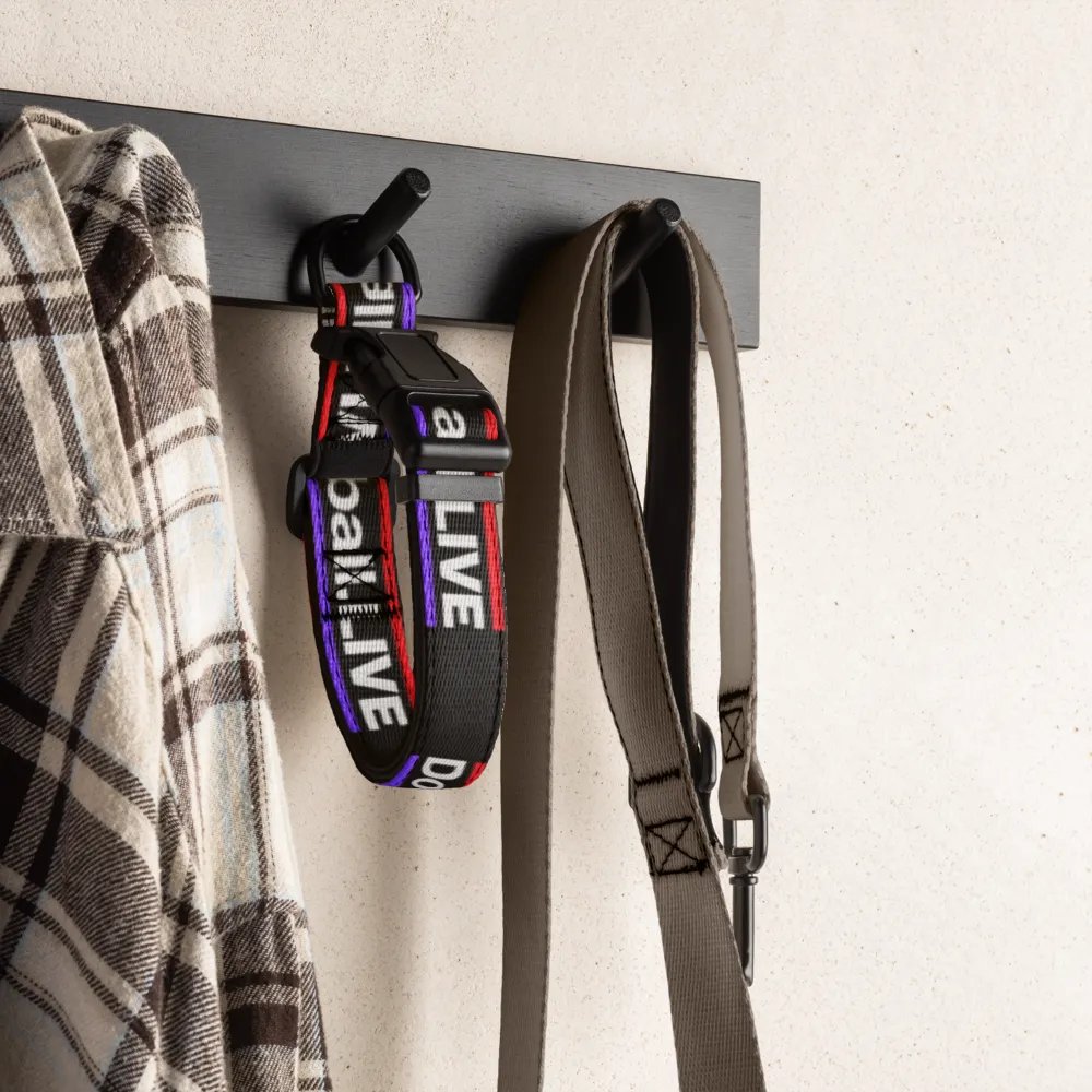 Dodgeball.LIVE Dog Collar product image (6)