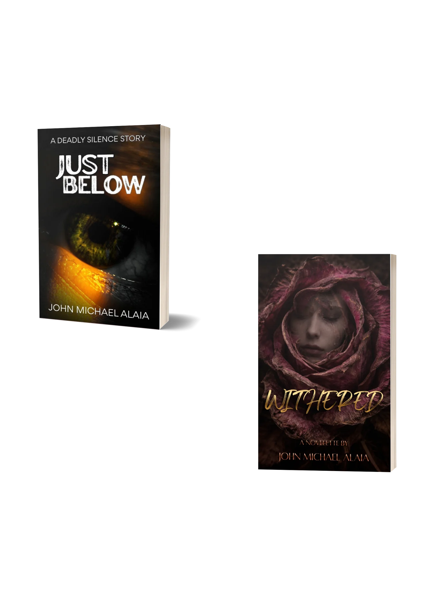 Short story bundle - signed paperback product image (1)