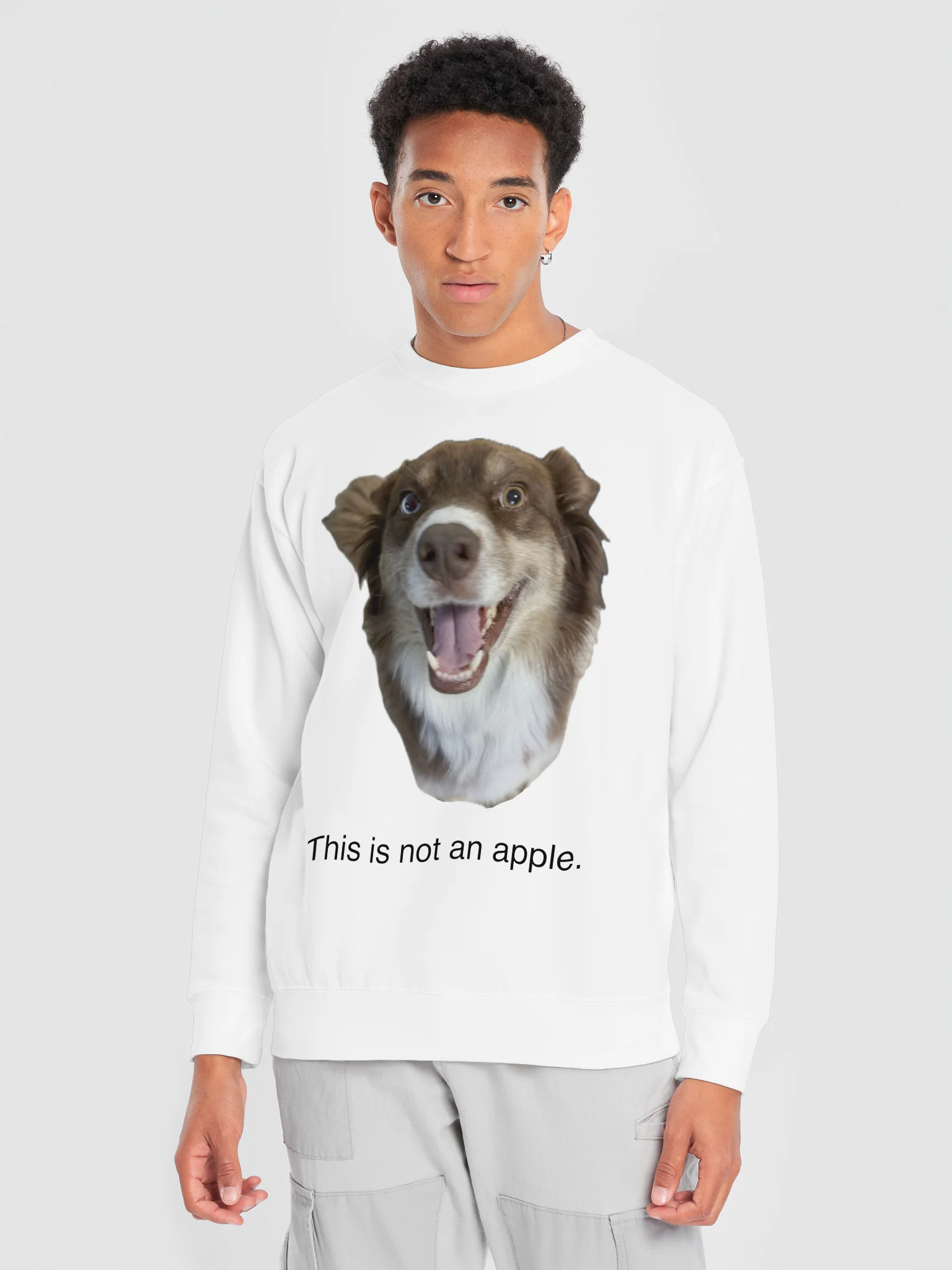 THIS IS STILL A DOG. product image (5)